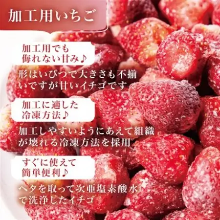 宮城県産 完熟冷凍いちご 1kg(1kg×1袋)【加工用・ご家庭用】ヘタ無しで便利♪通年出荷_果物・フルーツ いちご  イチゴ 苺_【配送不可地域：離島】【1497569】
