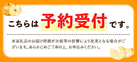 【2026年先行予約】梨 旬の梨 約2kg 藤末果樹園 熊本県荒尾市産《7月中旬-10月上旬頃出荷》フルーツ 果物 荒尾梨 はつまる 幸水 愛甘水 りんか ほしあかり 豊水 秋麗 かおり あきづき 新高 甘太 にっこり から旬の品種をお届け 美味しい梨 旬の梨 ジューシー梨 フルーツ梨