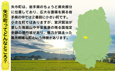 岩手県矢巾町（やはばちょう）応援寄附金（※返礼品なし）100,000円/矢幅 矢巾 観光地応援 支援 応援 国内旅行 教育 高齢者 医療 環境 防災 スポーツ 緑化 泊り お泊り 便利 お得 ホテル