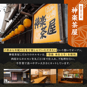 豊後米仕上げ牛 牛すじ煮込み(計750g・250g×3パック)牛肉 お肉 おかず おつまみ 小分け 簡単調理 時短 冷凍 惣菜【111100202】【神楽茶屋】