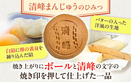 【当店自慢】こだわりの清峰まんじゅう 10個入り【栗まんじゅう本舗　小田製菓】[QAR016]