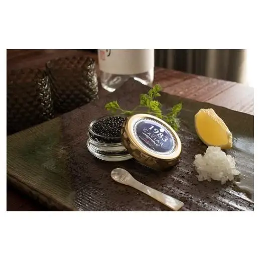 【お中元ギフト】宮崎キャビア MIYAZAKI CAVIAR 1983  20g 国産「ジャパンキャビア」＜25-15a＞