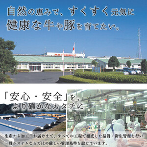 K-105 鹿児島黒牛サーロインステーキ 計400g (200g×2P) 国産 九州産 鹿児島県産 牛肉 黒牛 黒毛和牛 和牛 ステーキ サーロイン 冷凍 【湧水町JAあいら】_y451