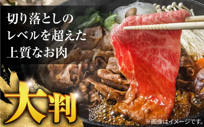 【6回定期便】長崎和牛 A5 赤身 切り落とし(モモ・バラ) 500g(250g×2) / 牛肉 和牛 モモ もも バラ バラ肉 すき焼き A5ランク 小間切れ / 諫早市 / 野中精肉店 [AHCW013]