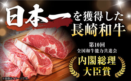 【3回定期便】極上 ヒレ ステーキ 300g（150g×2枚） / ヒレ ヒレステーキ ヒレ肉ステーキ ヒレ肉 長崎和牛 A5 希少部位 A5 / 諫早市 / 野中精肉店 [AHCW047]