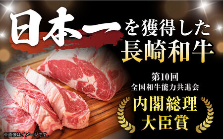 【12回定期便】極上 ヒレ ステーキ 300g（150g×2枚） /  ヒレ ヒレステーキ ヒレ肉ステーキ ヒレ肉 長崎和牛 A5 希少部位 A5 / 諫早市 / 野中精肉店 [AHCW049]