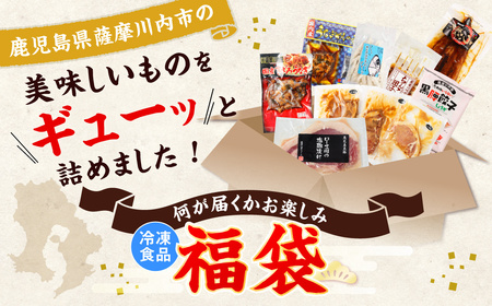 AS-086 【お楽しみ福袋B】鹿児島の美味しいが届く！5品以上