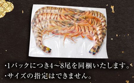 【訳あり】伊万里産冷凍クルマエビ（加熱用）250g×2袋 海老 [41AEAJ011] 海老