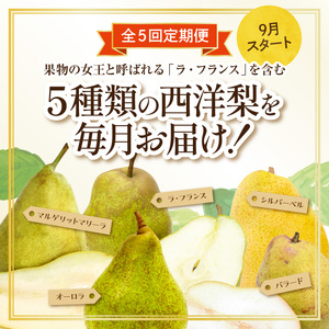 【2026年産5回定期便】西洋梨食べ尽くし定期便 西洋梨 なし 梨