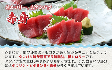 【市場直送】高鮮度急速冷凍 国産本まぐろ 赤身＆中トロ 2種セット 各約100ｇ（柵） 合計約200g[A-065006] / まぐろ