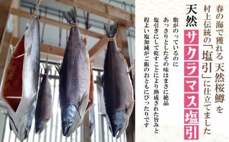 【数量限定】越後村上うおや 天然サクラマスの塩引き 切り身 10切（約650g～700g） 1056006