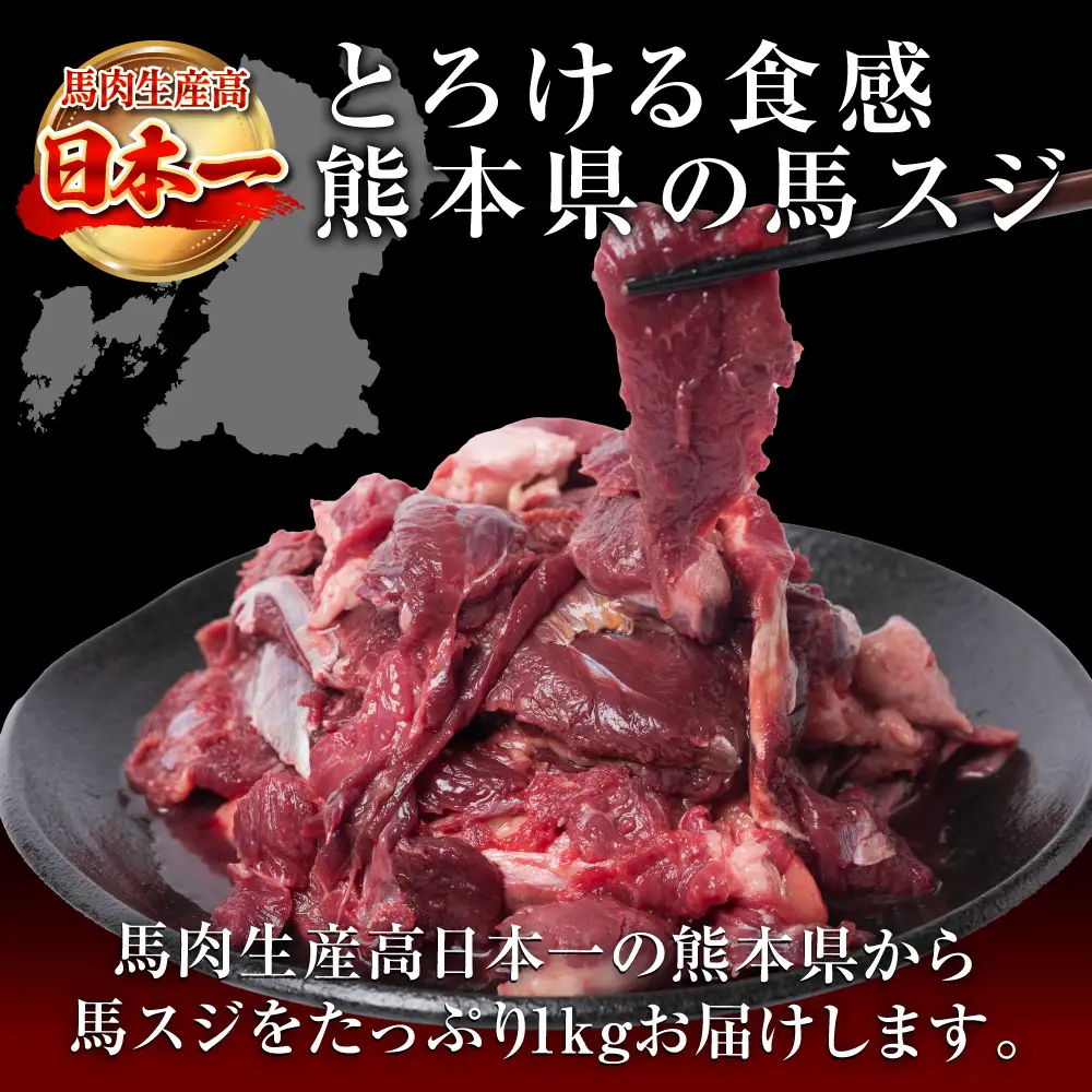 馬スジ 合計1kg 約500g×2パック 馬肉 馬 肉 お肉 煮込み 鍋 おでん 熊本名物