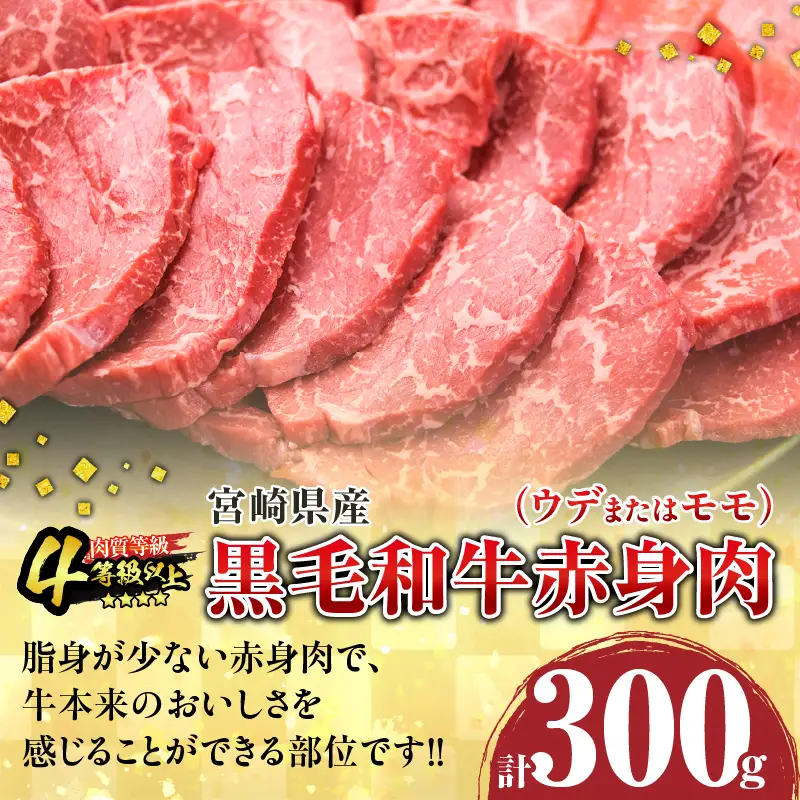 【お中元・夏の贈り物】数量限定 黒毛和牛 赤身肉 豚焼肉 食べ比べ セット 合計800g 肉_C153-252