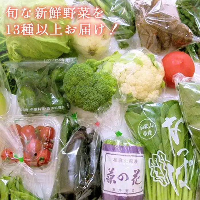 野菜セット　旬の新鮮野菜 大満足な13種以上　印南町　人気　やさい