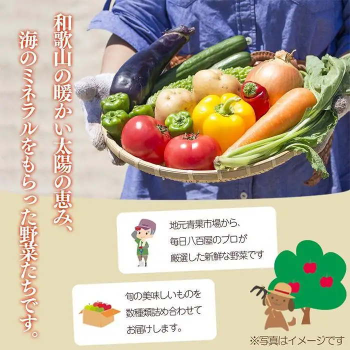  野菜セット定期便 　旬の新鮮野菜 8種以上 全12回やさい 印南町 人気
