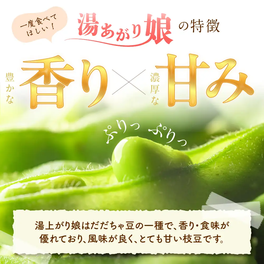 【2026年産】 枝豆「 湯あがり娘 」 1.5kg 枝豆