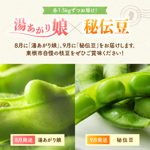 【2026年 全2回 枝豆定期便】 「湯あがり娘」と「秘伝豆」 各1.5kg よってけポポラ提供 hi003-164 （枝豆 えだまめ 湯あがり娘 秘伝豆 250g×12袋 食べ比べ 定期便 セット たっぷり 3kg ビール おつまみ たっぷり 送料無料 特産品 お手軽 お酒 おかず 弁当 時短 ずんだ 晩酌 東北 山形県 東根市）