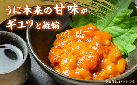 【先行予約】天然 生うに 60g【2026年6月以降順次発送】 [JAQ011] 冷凍うに