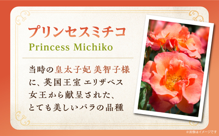 よこやま 純米大吟醸 Princess Michiko（1回火入）720ml（15度）《壱岐市》【天下御免/重家酒造】[JDB359] お酒 日本酒