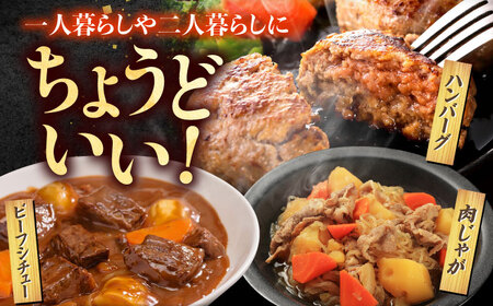 【3回定期便】肉ざんまい定期便（一人暮らし向け・少量） / 牛肉 [IAX047]