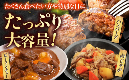 【6回定期便】肉ざんまい定期便（大家族向け・大容量） / 牛肉 [IAX050]