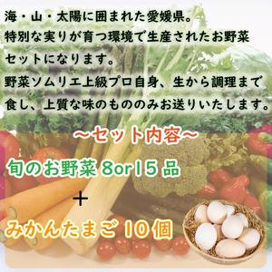 【野菜】 野菜セット 8品 ( みかんたまご 10個入り ) | 愛媛県 松山市【VEG037】
