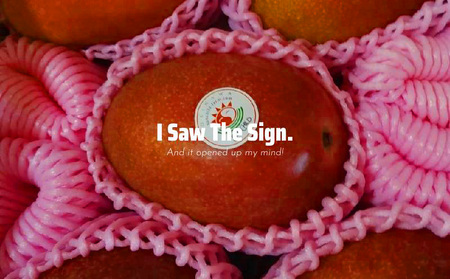 マンゴー【2026年発送】大宜味村産 アーウィン種マンゴー　秀品2キロ以上（青ぎりシークワーサー800ｇ付き） フルーツ 