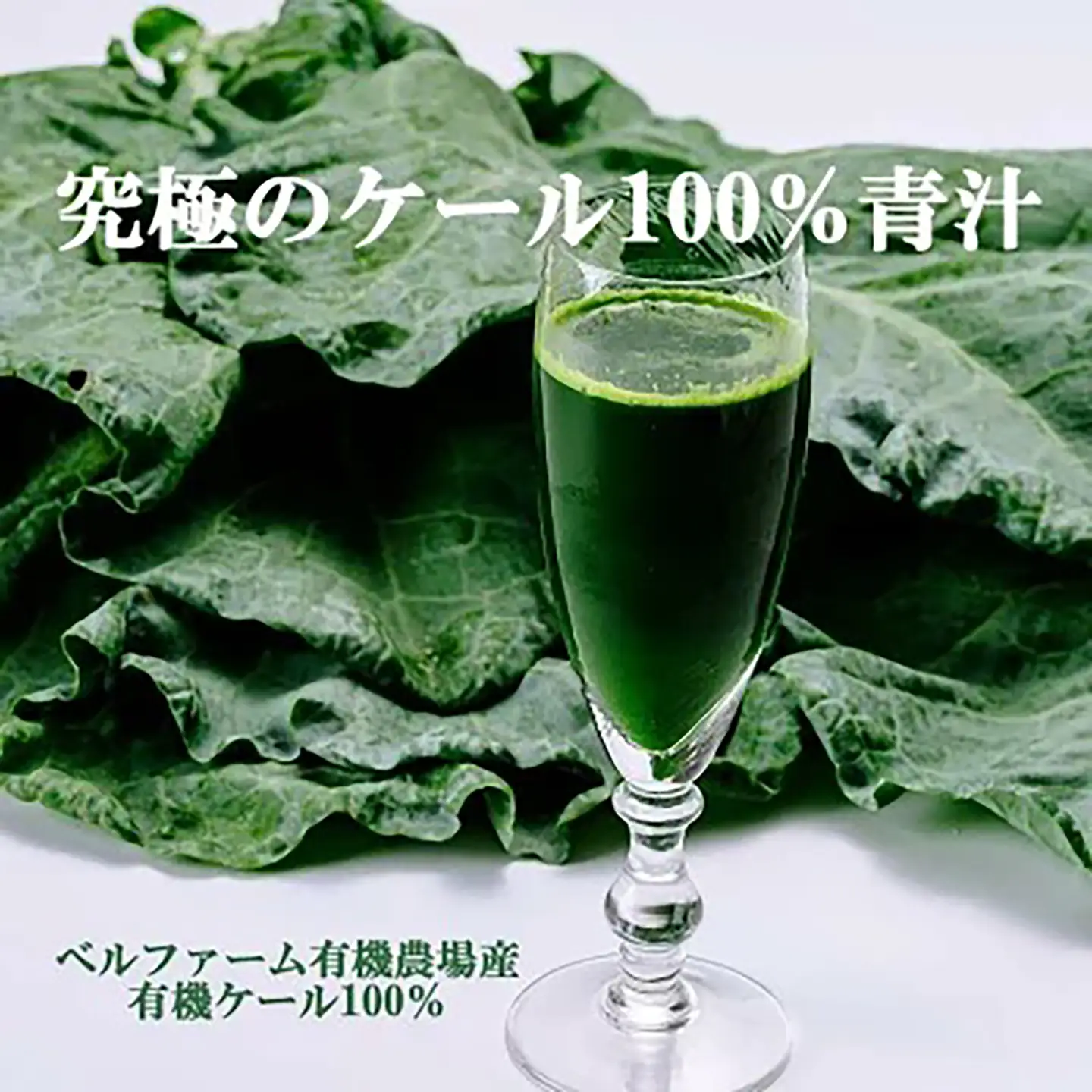 プレミアム有機青汁 100g×30P 青汁