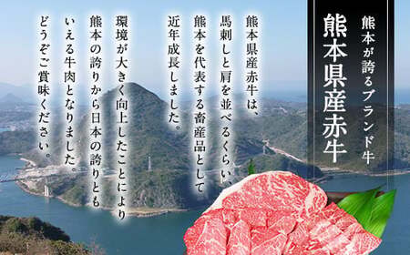 【6ヶ月定期便】肥後のあか牛 ハンバーグ 1.5kg（150g×10個）