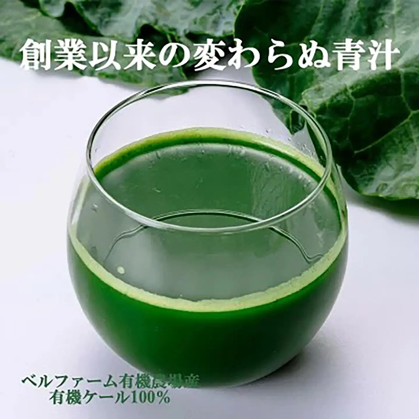 12ヵ月定期便 有機青汁百 100g×30P 青汁