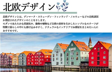 洗える羽毛布団 シングル コーラル 羽毛0.8kg 通年 抗菌防臭
