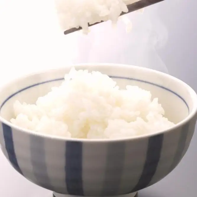 ［先行予約］米 にじのきらめき 和歌山県産 5kg（2025年産）［SL29］