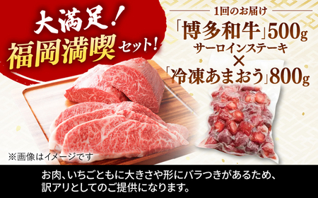 【全12回定期便】【訳あり】博多和牛 サーロインステーキ ＆ あまおう セット1.3kg 桂川町/株式会社 MEAT PLUS [ADAQ068] 訳あり 定期便 国産 牛肉 和牛 サーロイン イチゴ いちご