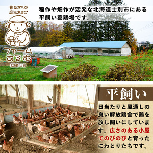 【A7052】昔ながらの庭先たまご(40個・サイズ混合) 卵 玉子 たまご 平飼い 40個 濃厚 うまみ 卵かけご飯 目玉焼き 卵焼き ごはん おかず【ファームあるむ】