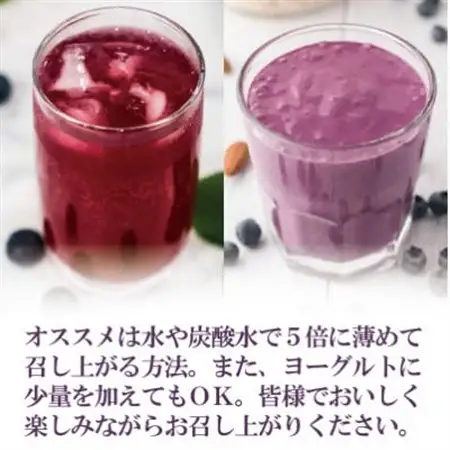 5倍に薄める酵素・まるごとブルーベリー_飲料・ドリンク  果汁飲料 _【配送不可地域：離島】【1500617】