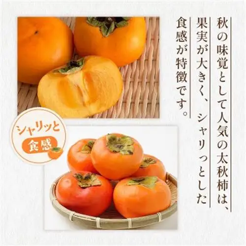 益城町産 太秋柿 約3kg(益城町)【配送不可地域：離島】【1510883】