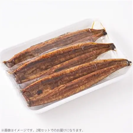 【浜名湖産】うなぎ蒲焼き(真空パック)×2本　タレ・山椒・お吸い物付_魚介・海産物 うなぎ  ウナギ 鰻  魚介・海産物   _【配送不可地域：離島】【1398863】