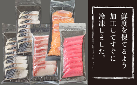 簡単 流水解凍 海鮮丼の具！ 赤身 1人前 サーモン 1人前 黒瀬ぶり 1人前 〆さば 2人前 【十六家】 刺身 刺し身 さしみ 生食 生食 魚 さかな 鮪 まぐろ マグロ だてまぐろ 本鮪 本まぐろ 本マグロ 赤身 サーモン 鰤 ぶり ブリ 鯖 さば サバ しめさば 時短 手軽 人気 おすすめ