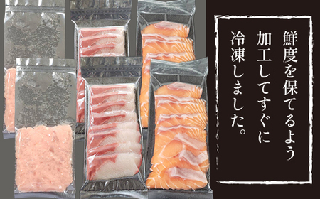 簡単 流水解凍 海鮮丼の具！ ネギトロ 2人前 サーモン 2人前 黒瀬ぶり 2人前 【十六家】 刺身 刺し身 さしみ 生食 生食用 海鮮 海鮮丼 食べ比べ ねぎとろ 鮪 まぐろ マグロ たたき タタキ びんちょうマグロ キハダマグロ メバチマグロ 鰤 ぶり ブリ 冷凍 寿司ネタ 個包装 便利 手軽 時短 人気 おすすめ