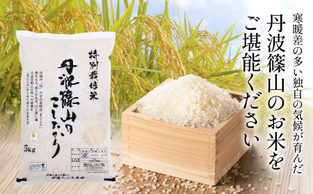 【6回定期便】特A 特別栽培米 コシヒカリ 精米 5kg 定期便