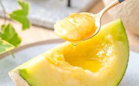 静岡県産 高級 アローマメロン 小玉 1玉 約0.9kg以上 化粧箱入 果物 フルーツ メロン めろん 青肉 高級ブランドメロン ブランドメロン 高級メロン 贈答