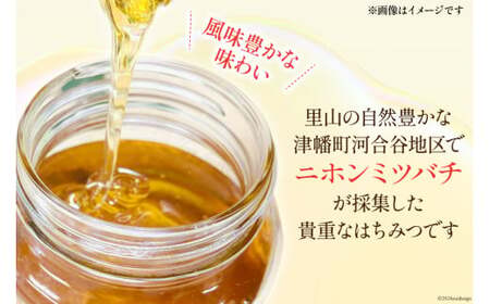 はちみつ 国産 純粋はちみつ 里山ひめみつ 250g×2 [里山養蜂 坂本稔 石川県 津幡町 tb17nir80003] 
