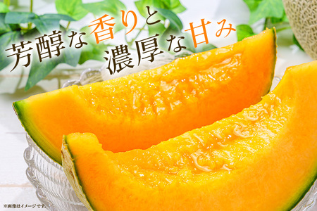 【数量限定・先行予約】 おみたまレノンメロン 赤肉 2玉 秀品 【7月11日まで受付・6月以降順次発送予定】 52-D