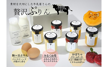 【のし無し】 ピカタの森駒ヶ岳牛乳 贅沢ぷりんセット（各2個×3種）＜ピカタの森 駒ケ岳牛乳＞ 低温殺菌 ノンホモ牛乳 スイーツ ぷりん プリン ふるさと納税 北海道 mr1-1402-1