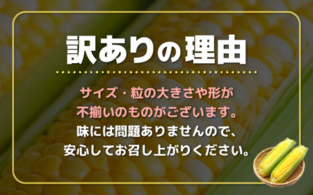 【先行予約】【訳あり】農場直送 鮮度抜群 スイートコーン( とうもろこし ) 約10kg（22本～30本) 【2026年7月上旬より順次発送予定】【お楽しみ バーベキュー 冷凍保存可能 焼肉 おやつ ご飯のおとも 野菜 国産 産地直送】 [e62-a010]