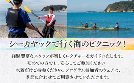 【逗子海岸・エバーリゾート 】シーカヤック 1DAY ピクニック体験 1名様 ランチ付き ピクニック 体験 海 カヤック ガイド ランチ 無人島 波 水着 ウエットスーツ 逗子海岸 エバーリゾート 神奈川県 逗子市