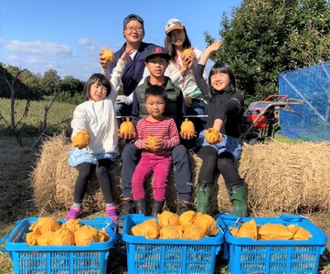 梨 新甘泉 しんかんせん 5kg 鳥取県産 湯梨浜 東郷名産 | 201M