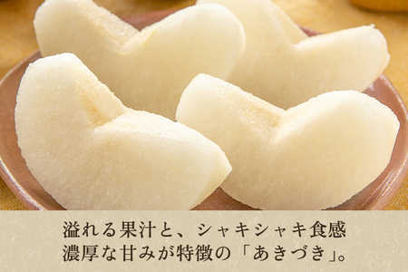 【2026年先行予約】しらい農園の和梨 あきづき 秀品5kg（8～18玉）《9月下旬～順次発送》 果実 フルーツ 贈答 ギフト 甘くてジューシーな梨 なし 秋月 加茂市 しらい農園