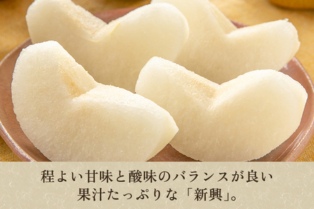 【2026年先行予約】しらい農園の和梨 新興 家庭用5kg（6～16玉）《10月下旬～順次発送》 果実 フルーツ 訳あり 甘くてジューシーな梨 なし 新興 しんこう 加茂市 しらい農園