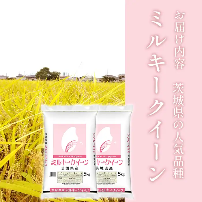 472 ミルキークイーン 10kg 5kg × 2袋 茨城県産 人気 銘柄 令和6年